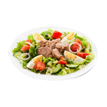Tuna Chicken Salad 